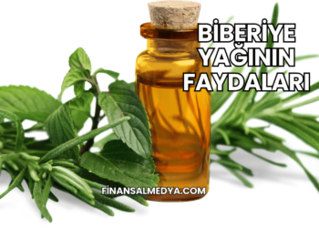 Biberiye Yağının Faydaları