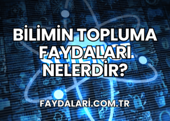 Bilimin Topluma Faydaları Nelerdir?