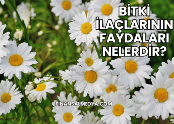 Bitki İlaçlarının Faydaları Nelerdir?