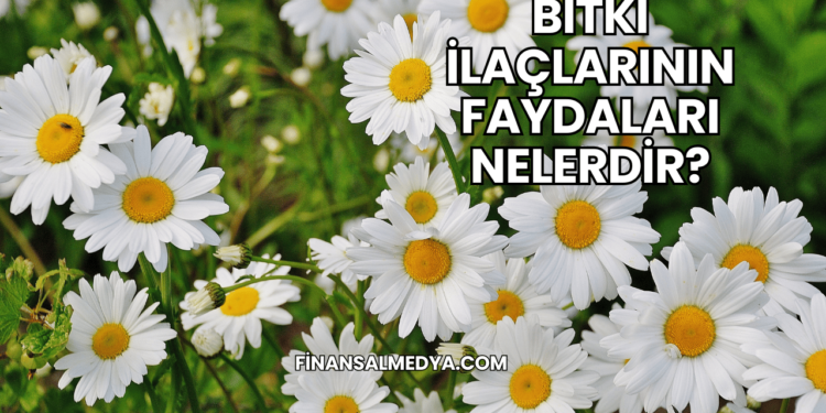 Bitki İlaçlarının Faydaları Nelerdir?