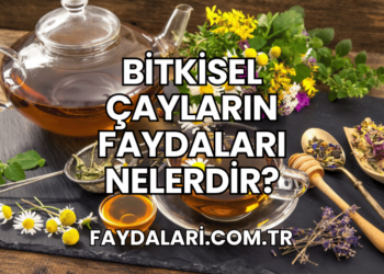Bitkisel Çayların Faydaları Nelerdir?