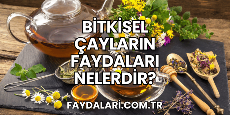 Bitkisel Çayların Faydaları Nelerdir?