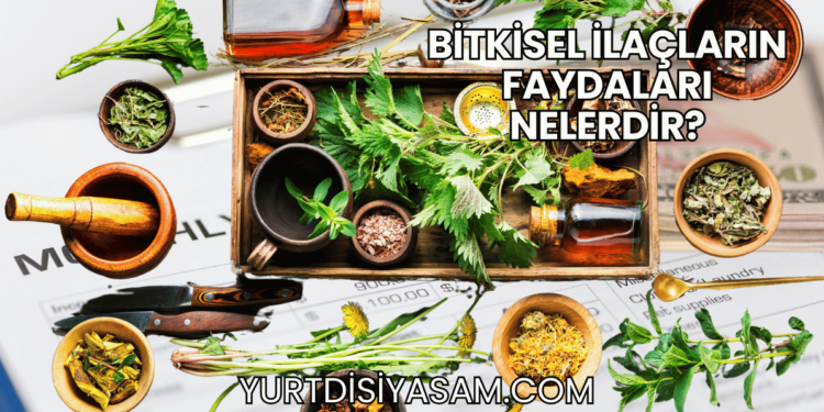 Bitkisel İlaçların Faydaları Nelerdir?