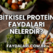 Bitkisel Protein Faydaları Nelerdir?