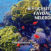 Biyoçeşitliliğin Faydaları Nelerdir?