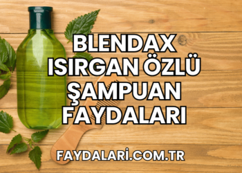 Blendax Isırgan Özlü Şampuan Faydaları