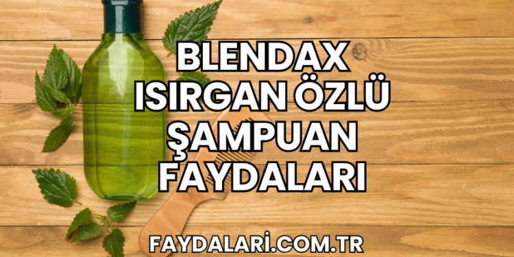 Blendax Isırgan Özlü Şampuan Faydaları