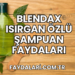 Blendax Isırgan Özlü Şampuan Faydaları