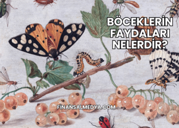 Böceklerin Faydaları Nelerdir?