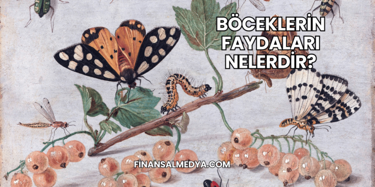 Böceklerin Faydaları Nelerdir?