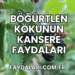 Böğürtlen Kökünün Kansere Faydaları