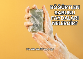 Böğürtlen Sabunu Faydaları Nelerdir?