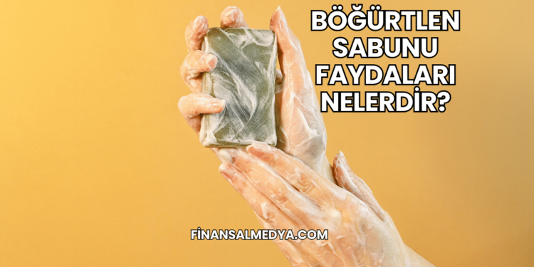 Böğürtlen Sabunu Faydaları Nelerdir?