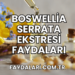 Boswellia Serrata Ekstresi Faydaları