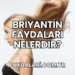 Briyantin Faydaları Nelerdir?