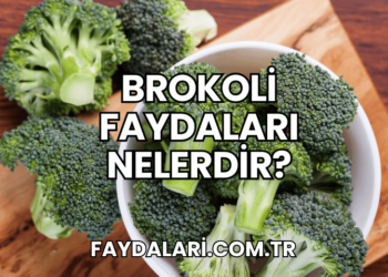 Brokoli Faydaları Nelerdir?