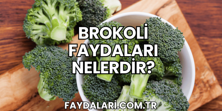 Brokoli Faydaları Nelerdir?