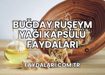 Buğday Ruşeym Yağı Kapsülü Faydaları