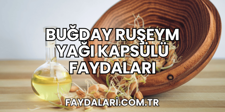 Buğday Ruşeym Yağı Kapsülü Faydaları