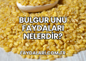 Bulgur Unu Faydaları Nelerdir?