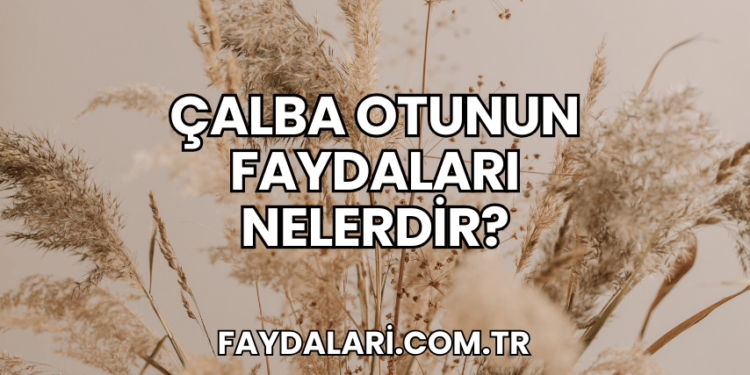 Çalba Otunun Faydaları Nelerdir?