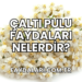Çaltı Pulu Faydaları Nelerdir?