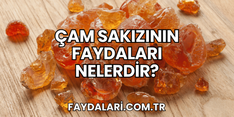 Çam Sakızının Faydaları Nelerdir?
