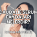 Caudalie Serum Faydaları Nelerdir?