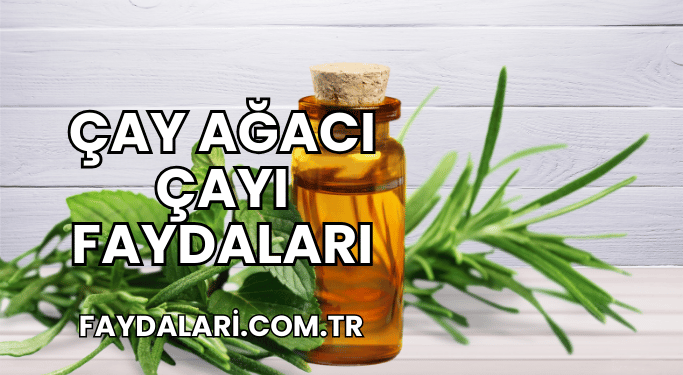 Çay Ağacı Çayı Faydaları