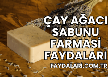 Çay Ağacı Sabunu Farmasi Faydaları