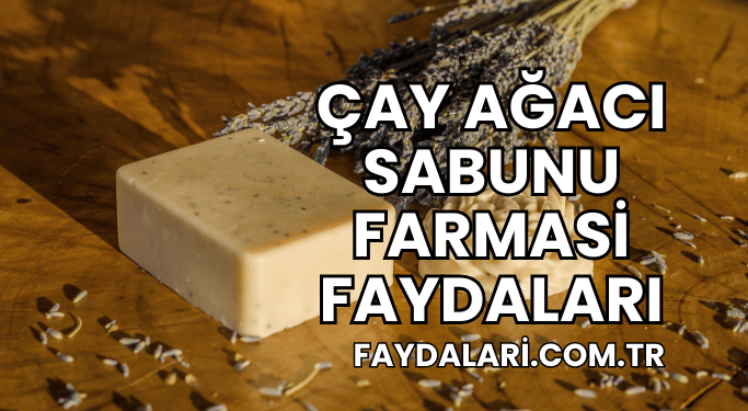 Çay Ağacı Sabunu Farmasi Faydaları