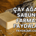 Çay Ağacı Sabunu Farmasi Faydaları