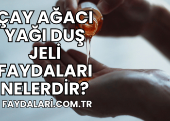 Çay Ağacı Yağı Duş Jeli Faydaları Nelerdir?