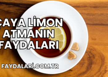 Çaya Limon Atmanın Faydaları