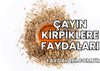 Çayın Kirpiklere Faydaları