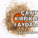 Çayın Kirpiklere Faydaları
