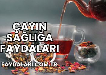 Çayın Sağlığa Faydaları