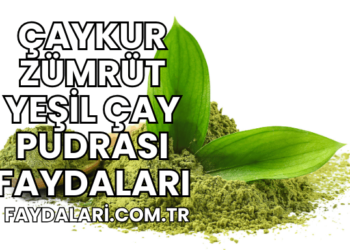 Çaykur Zümrüt Yeşil Çay Pudrası Faydaları