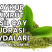 Çaykur Zümrüt Yeşil Çay Pudrası Faydaları