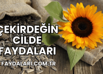 Çekirdeğin Cilde Faydaları