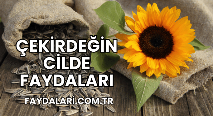 Çekirdeğin Cilde Faydaları