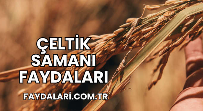 Çeltik Samanı Faydaları
