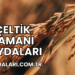 Çeltik Samanı Faydaları