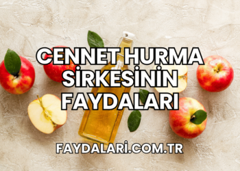 Cennet Hurma Sirkesinin Faydaları