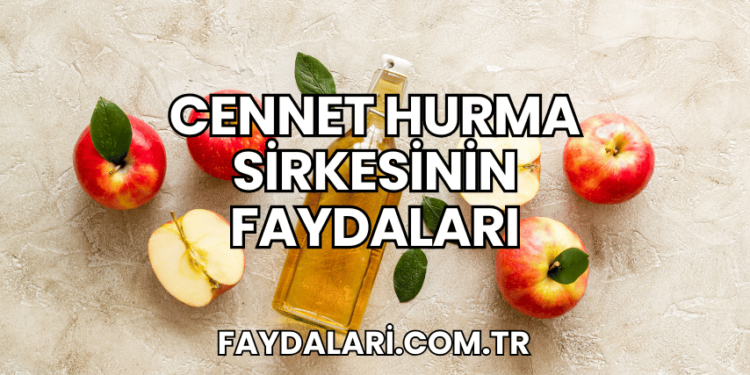 Cennet Hurma Sirkesinin Faydaları