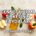 Cennet Hurma Sirkesinin Faydaları