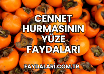 Cennet Hurmasının Yüze Faydaları