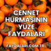 Cennet Hurmasının Yüze Faydaları