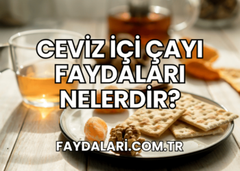 Ceviz İçi Çayı Faydaları Nelerdir?
