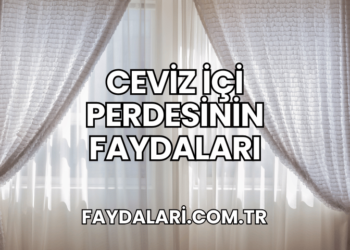 Ceviz İçi Perdesinin Faydaları